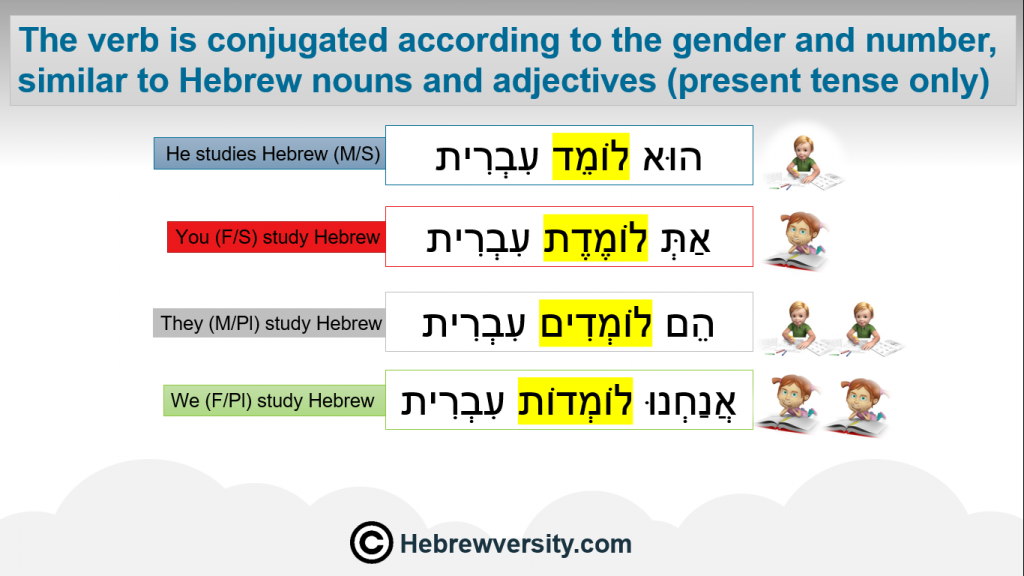 The Hebrew Verb Present Tense Hebrewversity