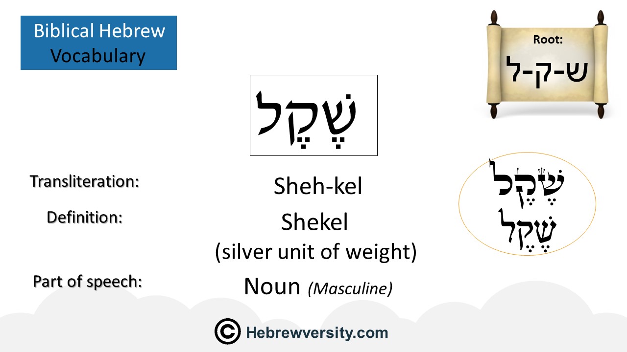 How To Say “Shekel” In Hebrew - hebrewversity