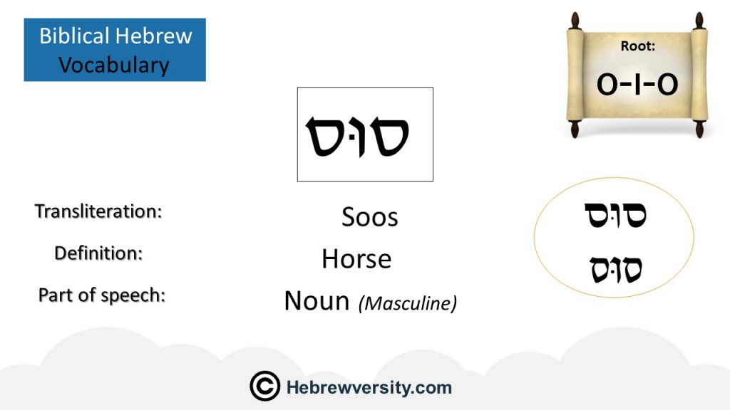 How To Say “Horse” In Hebrew - Hebrewversity