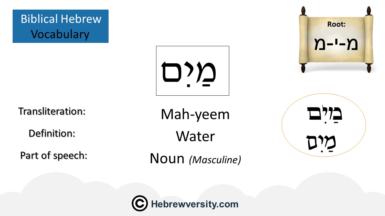 How To Say “Water” In Hebrew - hebrewversity