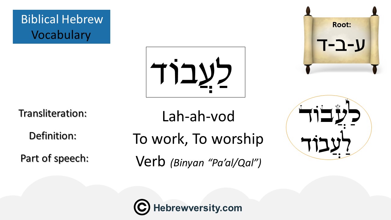 how-to-say-to-work-in-hebrew-hebrewversity