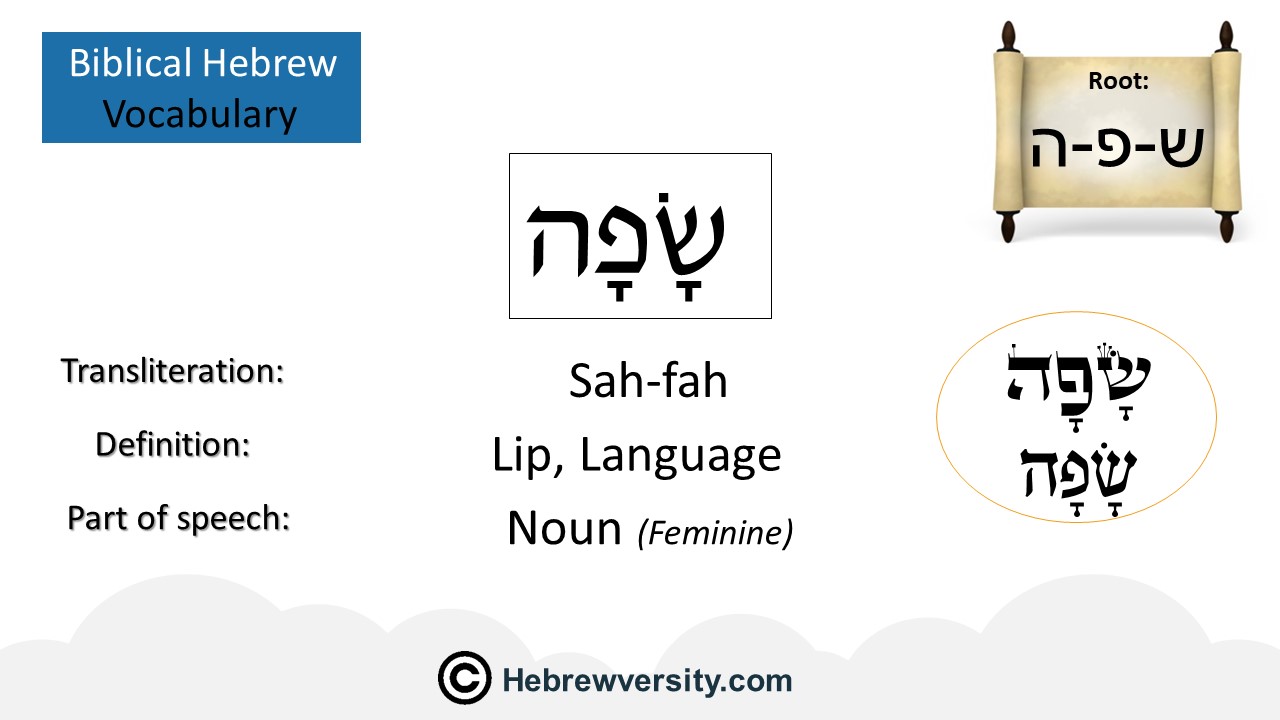 how-to-say-language-in-hebrew-hebrewversity