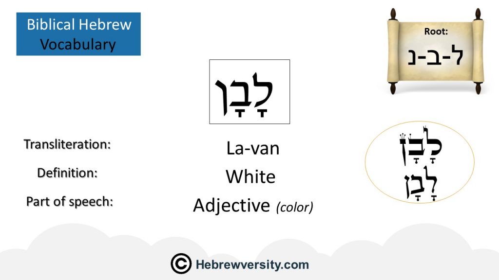 how-to-say-white-in-hebrew-hebrewversity