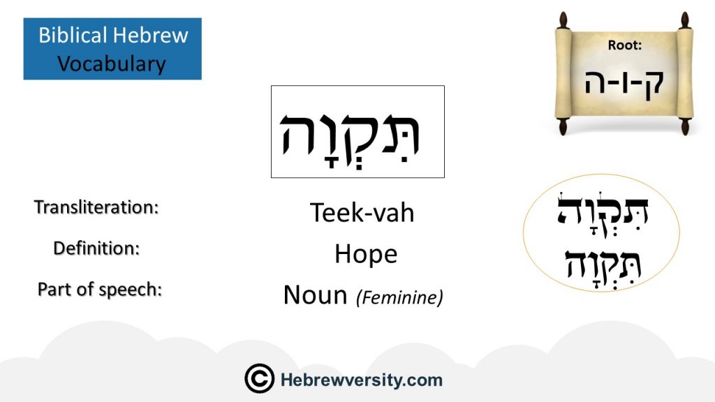 how-to-say-hope-in-hebrew-hebrewversity