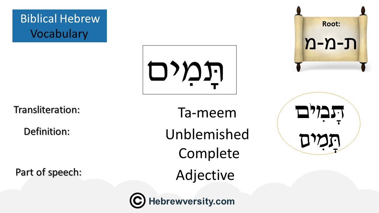 How To Say “Unblemished” In Hebrew - hebrewversity