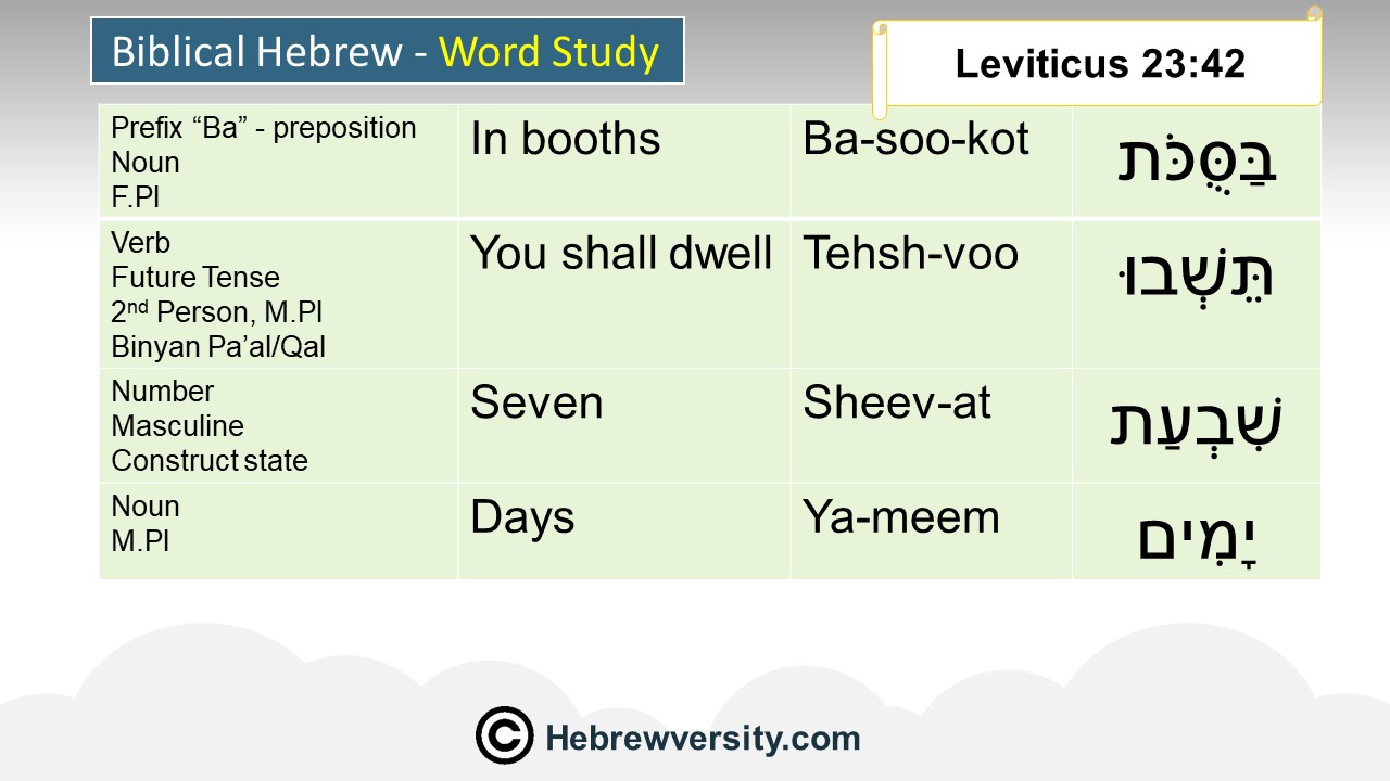 You Shall Dwell In Booths Seven Days". Leviticus 23:42 - Hebrewversity