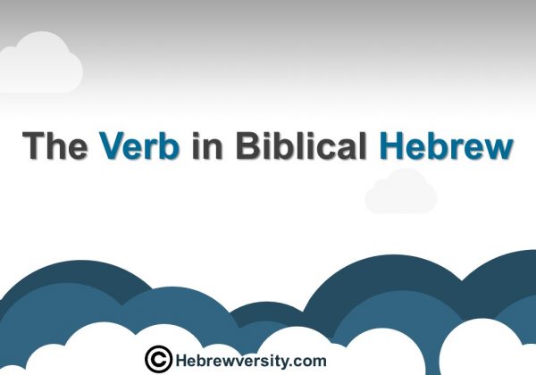 The Verb in Biblical Hebrew