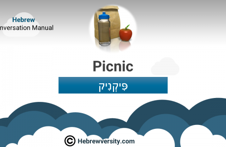 Picnic